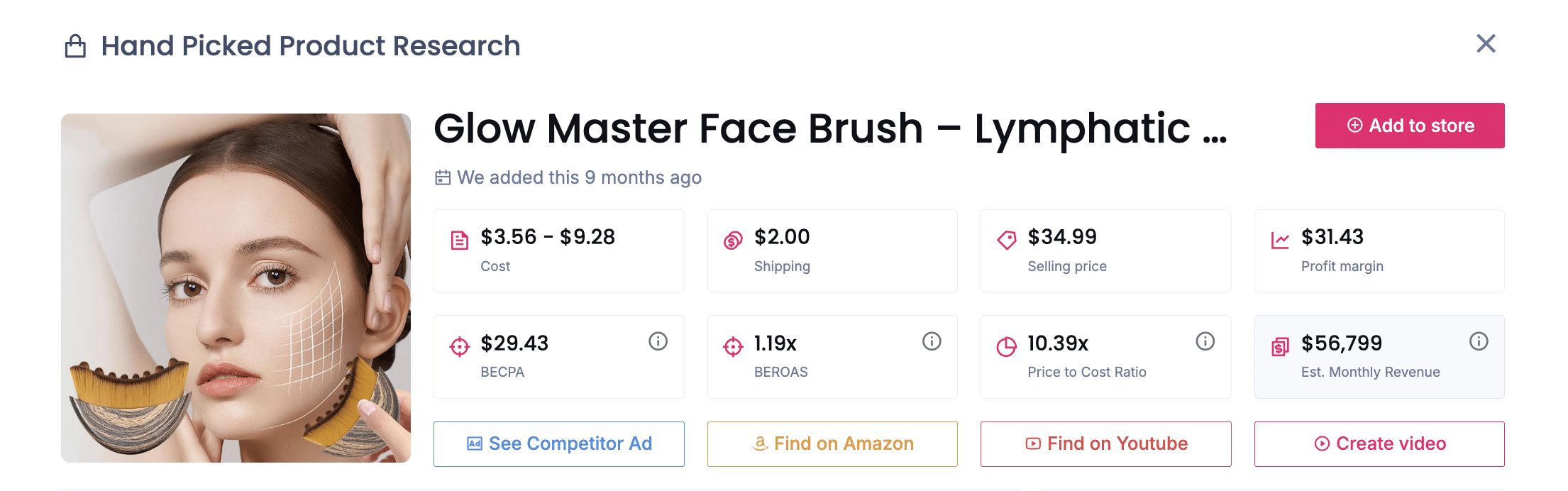 Glow Master Face Brush